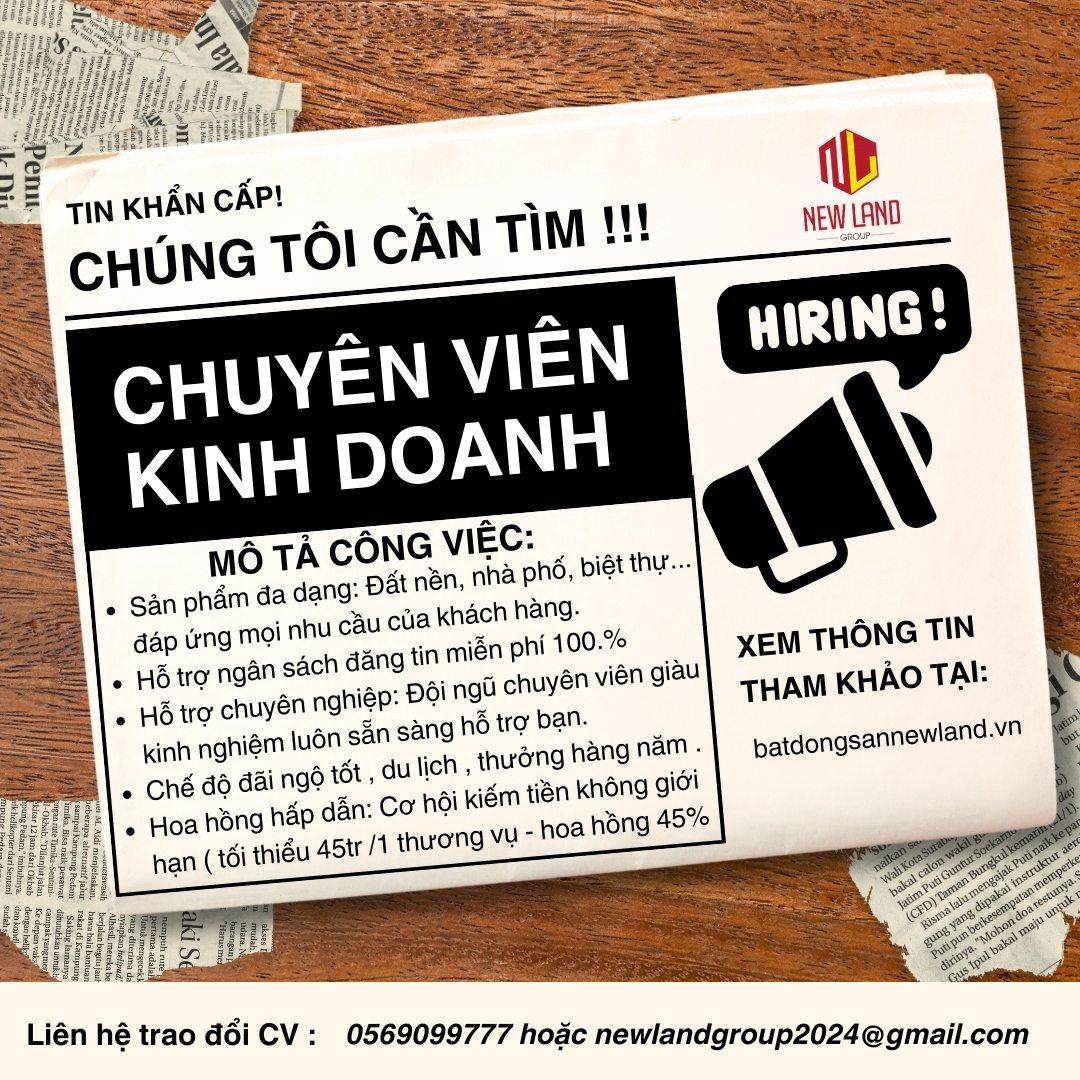 lĩnh vực hoạt động
